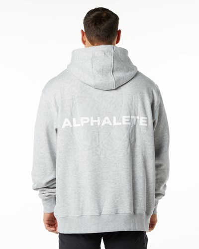 Alphalete Brushed Fleece Graafinen Hoodie Harmaat | 256YANEIH