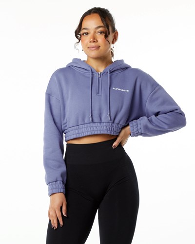 Alphalete Brushed Fleece Half-Zip Crop Hoodie Digital Violet | 132FWASBR