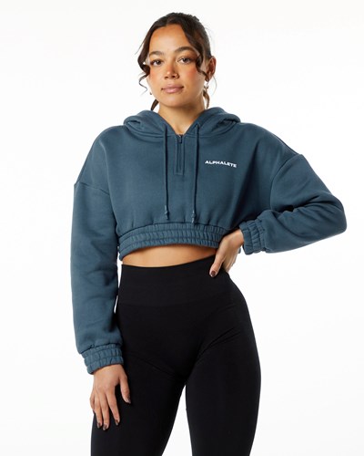 Alphalete Brushed Fleece Half-Zip Crop Hoodie Sininen | 504RKVASW