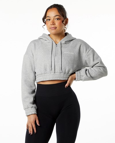 Alphalete Brushed Fleece Half-Zip Crop Hoodie Harmaat | 857UDITMA