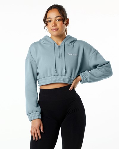 Alphalete Brushed Fleece Half-Zip Crop Hoodie Sininen | 876SKIEBX