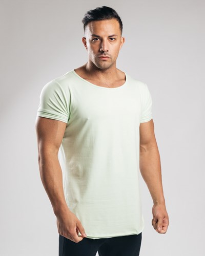 Alphalete Fitted Lyhyt Sleeve Frozen Spring | 079FXGPQM