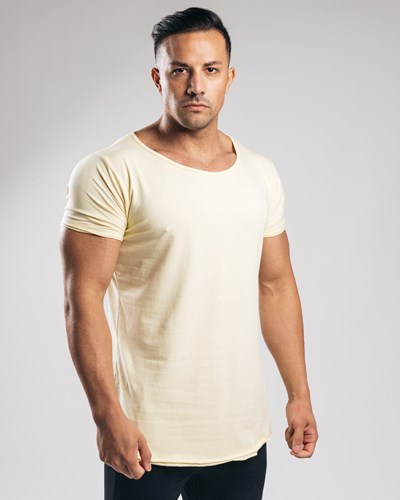 Alphalete Fitted Lyhyt Sleeve Sea Salt | 376ISKTVX