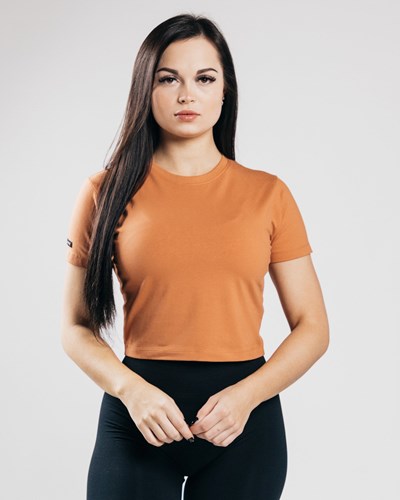 Alphalete Fitted Performance Crop Top Clay | 716EQZIYW