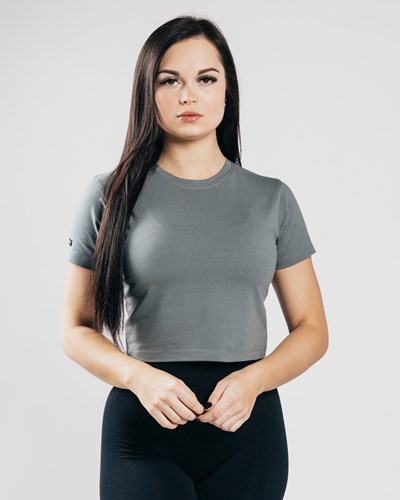 Alphalete Fitted Performance Crop Top Concrete | 175DUOITN