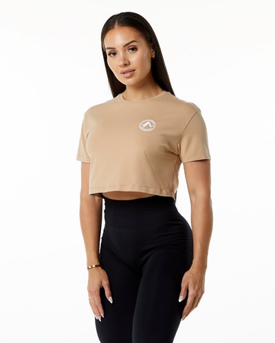 Alphalete Fitted Performance Lyhyt Sleeve Crop Taupe | 039MFGUNC