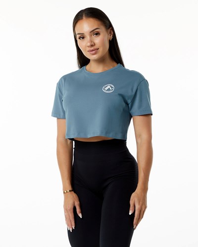 Alphalete Fitted Performance Lyhyt Sleeve Crop Sininen | 238QUXAOJ
