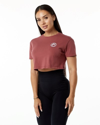 Alphalete Fitted Performance Lyhyt Sleeve Crop Gingerbread | 647OFSJRA