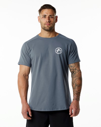Alphalete Fitted Performance Lyhyt Sleeve Carbon | 695NTJLZI