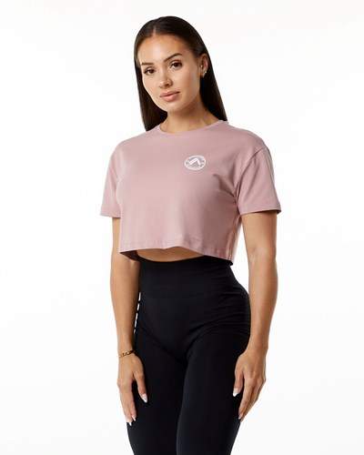 Alphalete Fitted Performance Lyhyt Sleeve Crop Mauve | 815JHDVRO