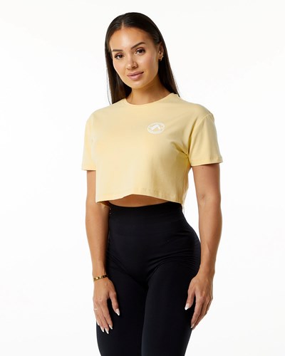 Alphalete Fitted Performance Lyhyt Sleeve Crop Daffodil | 832SXCBNY