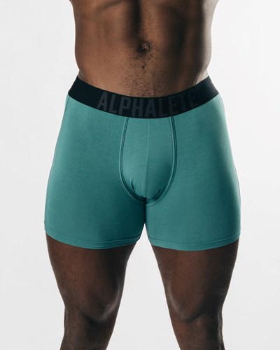 Alphalete Frictionless Modal Bokserin Brief Ivy | 106CRXHYJ