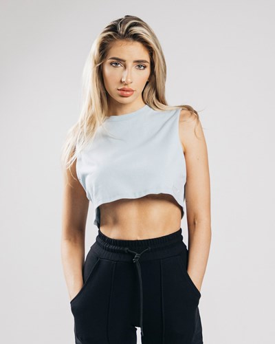 Alphalete Heavy Puuvilla Cropped Cutoff Sininen | 214AGIRPS