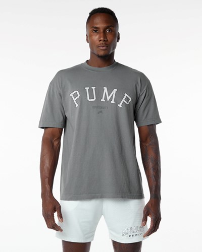 Alphalete Heavyweight Graafinen Tee Charcoal | 493PVSIUA