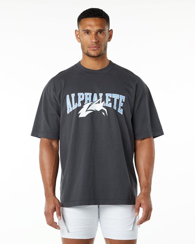 Alphalete Heavyweight Oversized Tee Sininen | 596LTHOZX