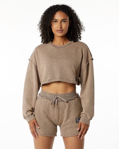 Alphalete Heavyweight Washed Terry Crop Pullover Smokey Quartz | 521CYVLKE