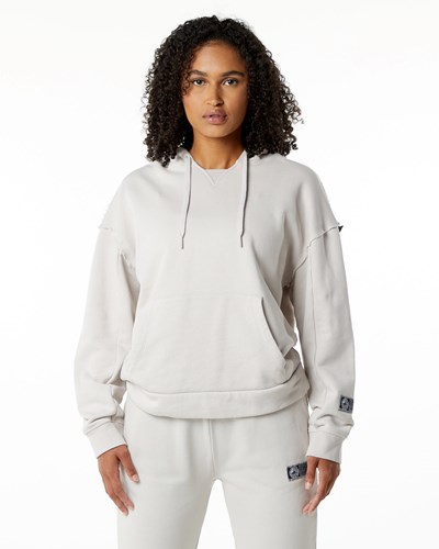 Alphalete Heavyweight Washed Terry Hoodie Moonstone | 648XBKTVN