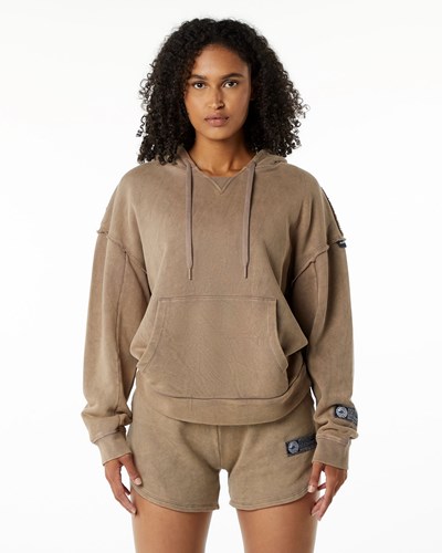 Alphalete Heavyweight Washed Terry Hoodie Smokey Quartz | 869ZRVBJI