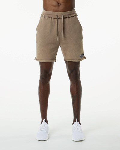 Alphalete Heavyweight Washed Terry Lyhyt Smokey Quartz | 130TYZFJK