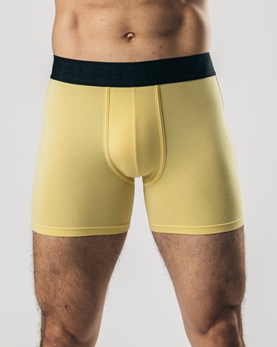 Alphalete Hengittävä Modal Bokserin Brief Lemonade | 704NEJFHR