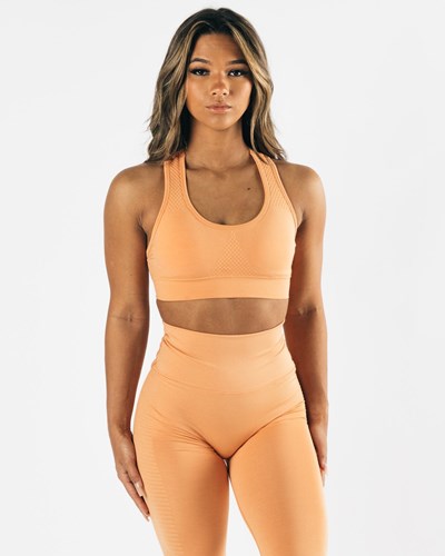 Alphalete High-Impact Seamless Sports Bra Koralli | 423OFYJAQ