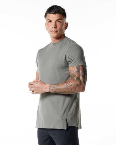 Alphalete High-Neck Premium Lyhyt Sleeve Tee Harmaat | 518SWZRDX