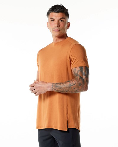 Alphalete High-Neck Premium Lyhyt Sleeve Tee Camel | 567DJIHUE