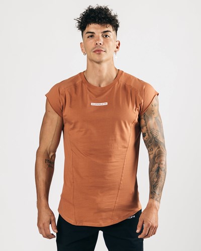 Alphalete High Performance Hihattomat Tee Clay | 207HBVMAS