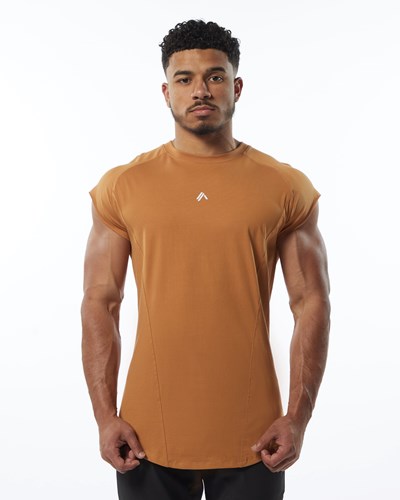 Alphalete High Performance Hihattomat Tee Chestnut | 693WDERSL