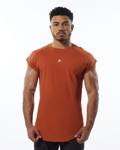 Alphalete High Performance Hihattomat Tee Sour Tangerine | 785QOGHDS