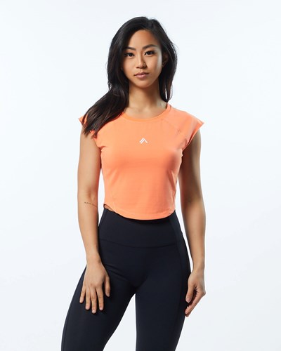 Alphalete High Performance Lyhyt Sleeve Crop Tee Electric Peach | 846FKUHTX