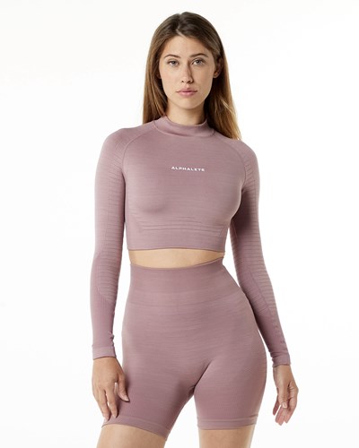 Alphalete High Performance Seamless Long Sleeve Tee Mauve | 625NOIMJX