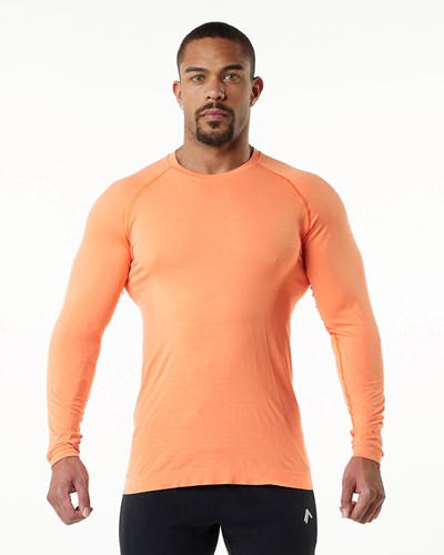 Alphalete High Performance Seamless Long Sleeve Tee Faded Day Tripper | 853KJESTX