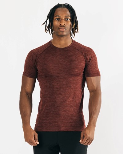 Alphalete High Performance Seamless Lyhyt Sleeve Tee Kupari | 081VLFPJD