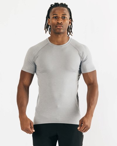 Alphalete High Performance Seamless Lyhyt Sleeve Tee Harmaat | 249GWNXZE