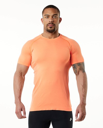 Alphalete High Performance Seamless Lyhyt Sleeve Tee Faded Day Tripper | 401WNBVUS