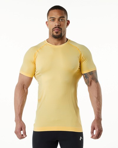 Alphalete High Performance Seamless Lyhyt Sleeve Tee Faded Honey | 709PNVRAH