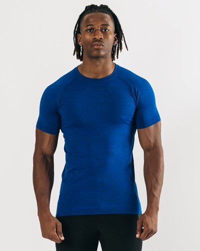 Alphalete High Performance Seamless Lyhyt Sleeve Tee Sininen | 958DUZFNV