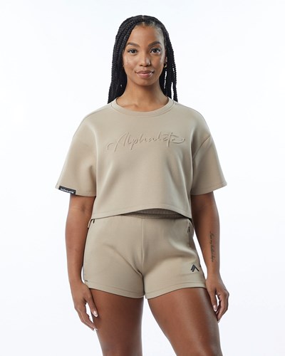 Alphalete Interlock Knit Crop Pullover Tan | 169ZOAGSJ
