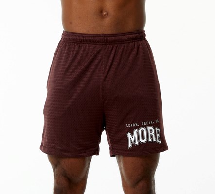 Alphalete Luxury Vuoratut 4-Way Stretch Mesh Lyhyt Viininpunainen | 305TGYROZ