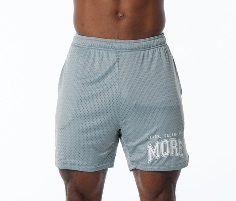 Alphalete Luxury Vuoratut 4-Way Stretch Mesh Lyhyt Sininen | 874XHJICA