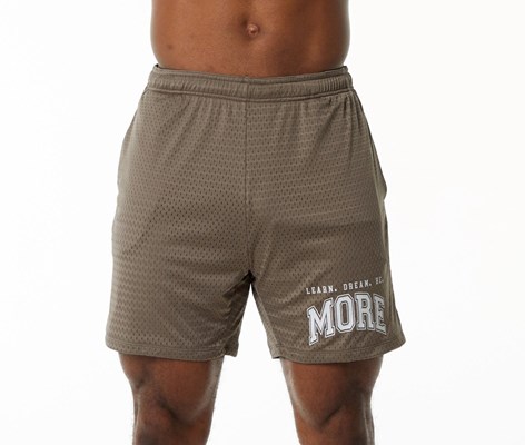 Alphalete Luxury Vuoratut 4-Way Stretch Mesh Lyhyt Mocha | 941HFLJRY