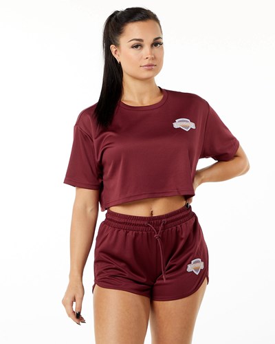 Alphalete Oversized Crop Jersey Crimson | 643UQOHEI