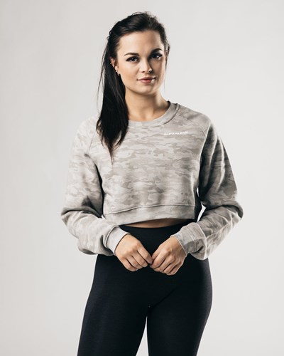 Alphalete Oversized Fleece Cropped Villa Hopea | 908LNGQKE