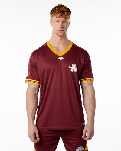 Alphalete Oversized Lyhyt Sleeve Jersey Crimson | 208ERIJOP