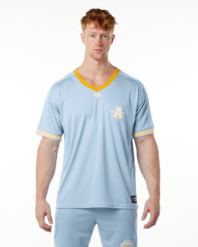 Alphalete Oversized Lyhyt Sleeve Jersey Vaaleansininen | 607FVKHOZ