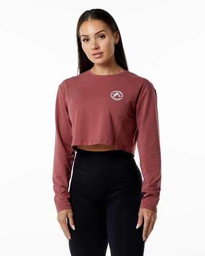 Alphalete Oversized Performance Long Sleeve Crop Gingerbread | 018VBGAET