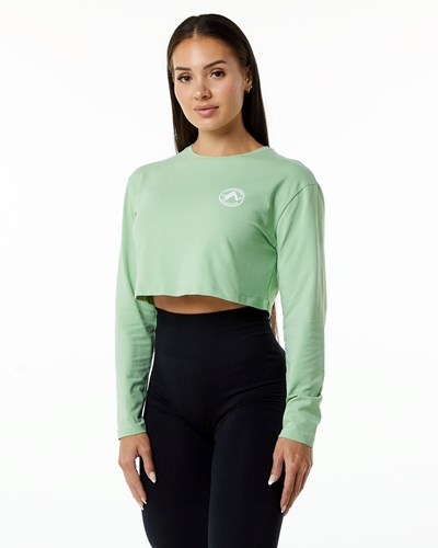Alphalete Oversized Performance Long Sleeve Crop Pistachio | 042TAZWJK