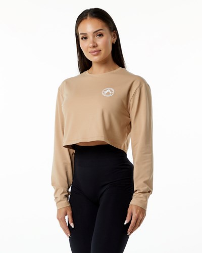 Alphalete Oversized Performance Long Sleeve Crop Taupe | 281PXHWLT