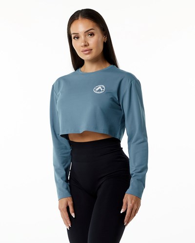 Alphalete Oversized Performance Long Sleeve Crop Sininen | 290TKNMDU